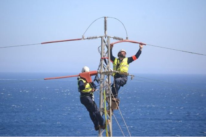 Endesa adecúa 3.204 apoyos de los tendidos aéreos para proteger a la avifauna en Andalucía