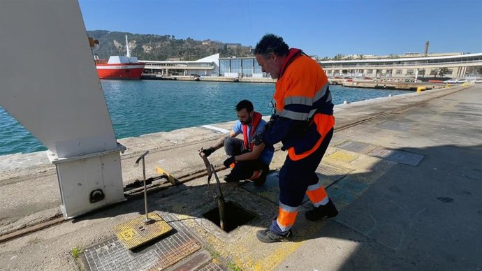 Trabajadores del Puerto de Barcelona en las instalaciones portuarias.