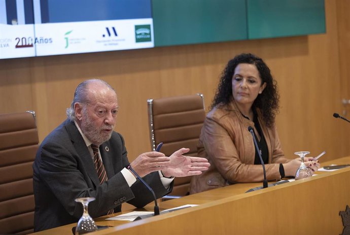 Archivo - El presidente de la Diputación, Fernando Rodríguez Villalobos, y la diputada socialista Rocío Sutil.