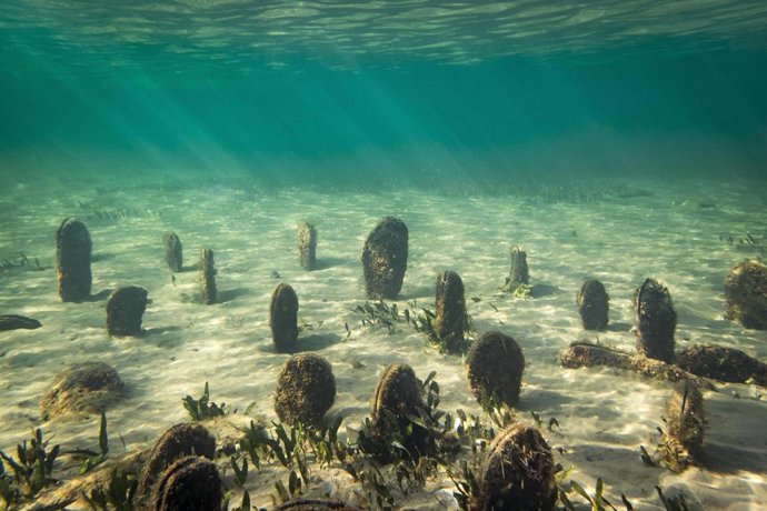 Archivo - Población Nacra