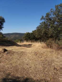 En el Camino Mozárabe de Santiago a su paso por el término municipal de Espiel se hará adecuación de vegetación y mejora del firme del sendero.