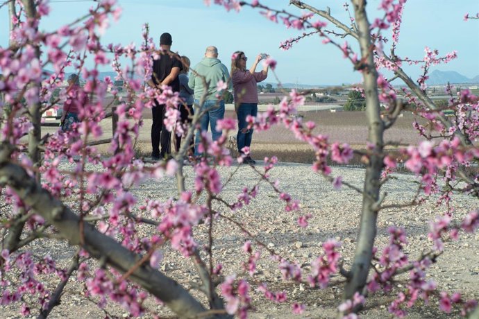 Varias personas toman fotografías de la floración de los frutales, a 10 de marzo de 2023, en Cieza, Región de Murcia (España). 