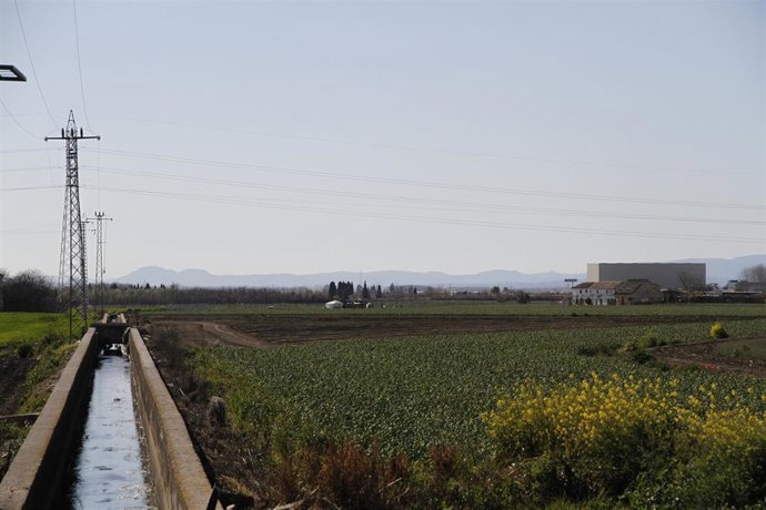 Cultivos de la Vega de Granada