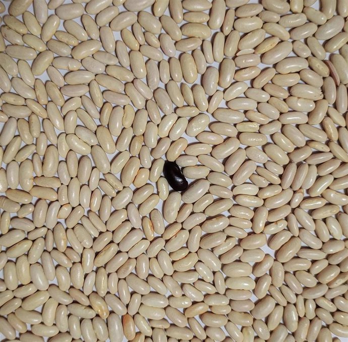 Primer premio El Corte Inglés.