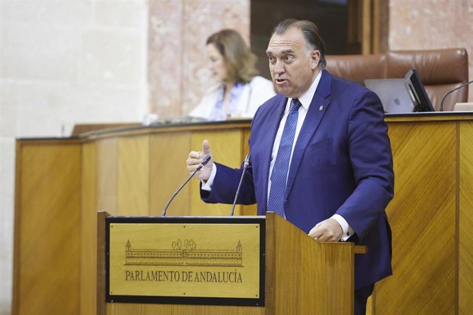 El consejero de Turismo, Cultura y Deporte de la Junta de Andalucía, Arturo Bernal  