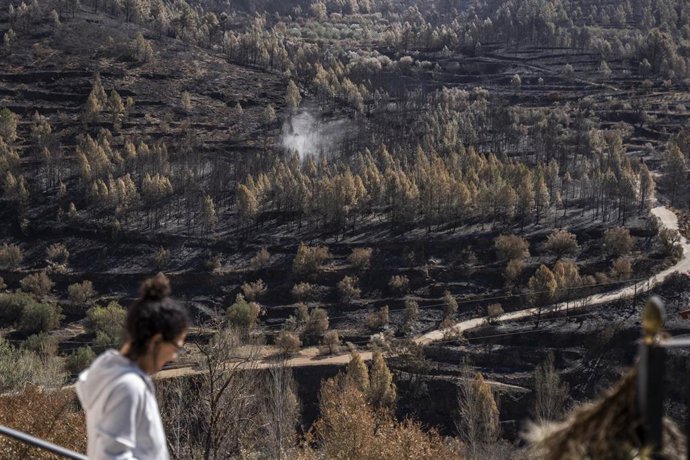 Vecinos vuelven a sus hogares  tras el incendio forestal de Castellón, a 2 de abril de 2023, en Montán, Castellón