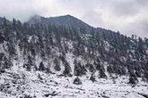 Foto: India.- Al menos siete muertos tras una avalancha de nieve en el Himalaya indio