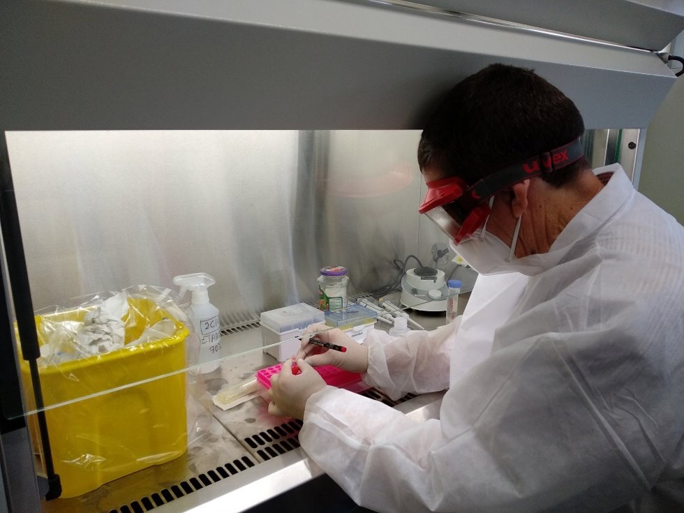 Archivo - Un trabajador en el laboratorio del Cicytex.