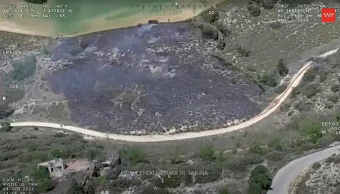 Zona afectada por el incendio de monte bajo.