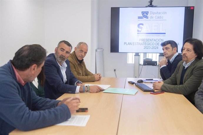 Diputación de Cádiz elabora un plan estratégico para avanzar en la asistencia jurídica y económica a pequeños municipios de la provincia