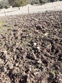 CLM amplia en 760.000 euros el crédito de ayudas a la contratación de seguros agrarios, cuya partida supera 7,7 millones