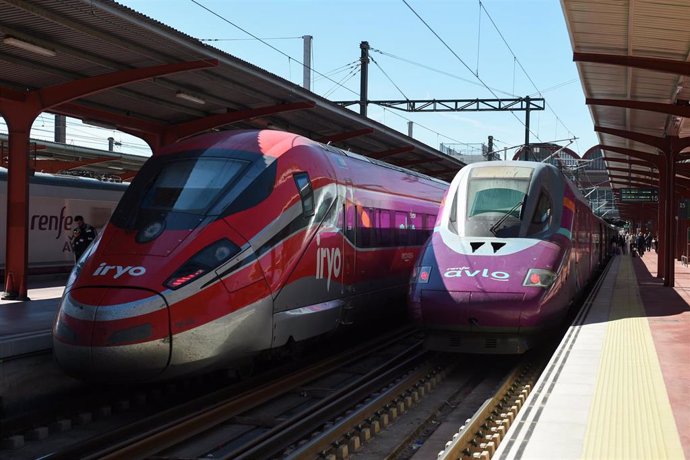 Vista de un tren Avlo y otro de Iryo