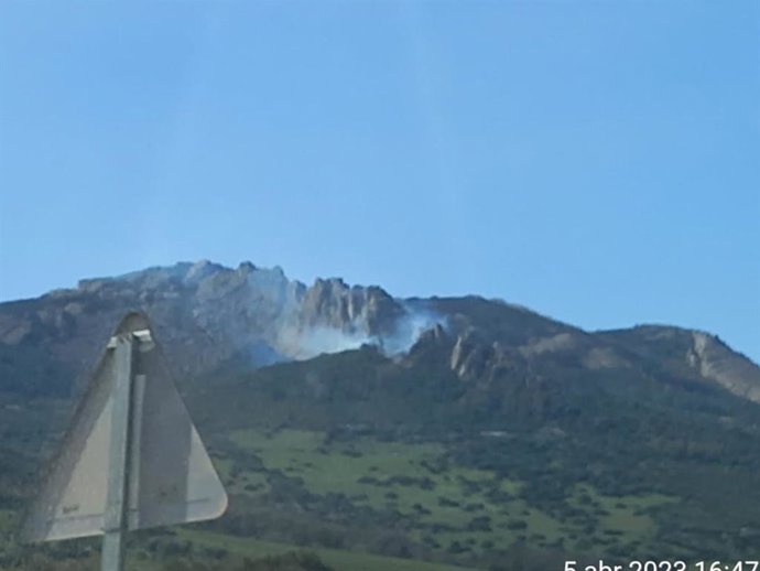 Incendio forestal declarado en el paraje Betis, en Tarifa (Cádiz)