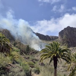 Incendio en la Presa de Soria, en Gran Canaria