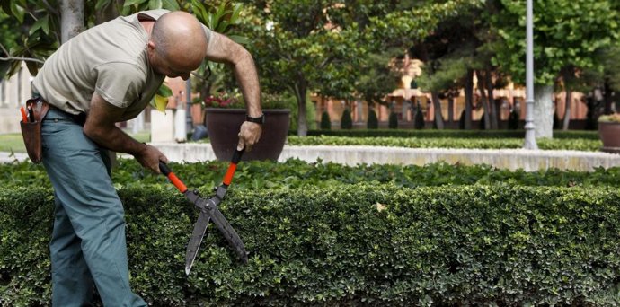 Archivo - El INAEM convoca subvenciones para apoyar proyectos generadores de empleo en los Centros Especiales