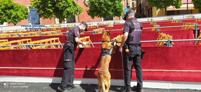 La Unidad de Guías caninos de la Policía inspecciona la Carrera Oficial.