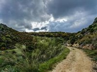 Los Agentes Forestales de la Comunidad proponen diez rutas para descubrir la naturaleza madrileña esta Semana Santa
