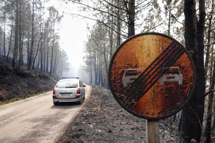 Bomberos de Asturias treabajan en el incendio de los concejos de Valdes y Tineo, a 30 de marzo de 2023, en Asturias (España). La consejera de Presidencia del Gobierno asturiano, Rita Camblor, se ha referido este jueves a los numerosos incendios forestal