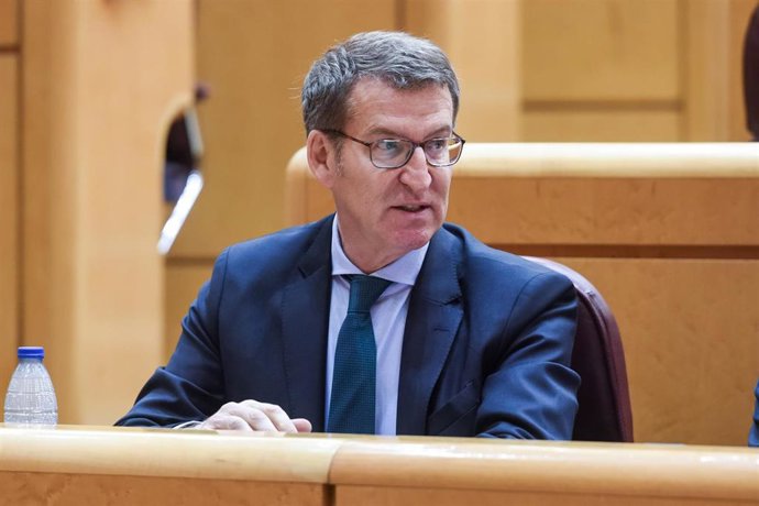 El presidente del PP, Alberto Núñez Feijóo, durante una sesión plenaria en el Senado, a 29 de marzo de 2023, en Madrid (España). 