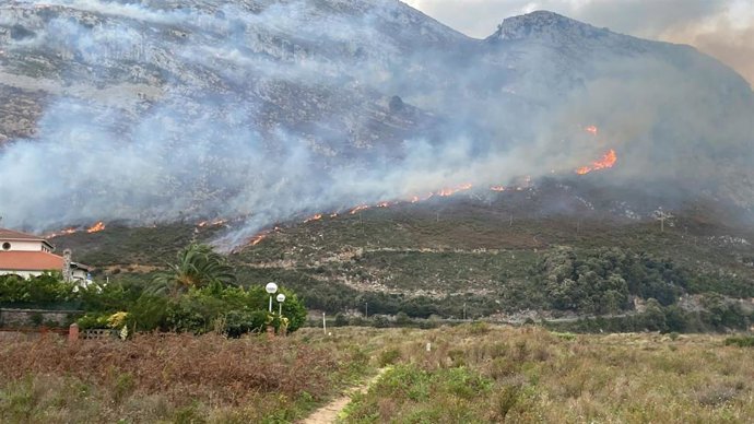 Archivo - Incendio forestal en Cieza.- Archivo