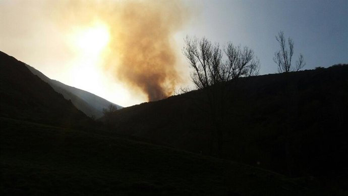Incendio en Tonín de Arbás.