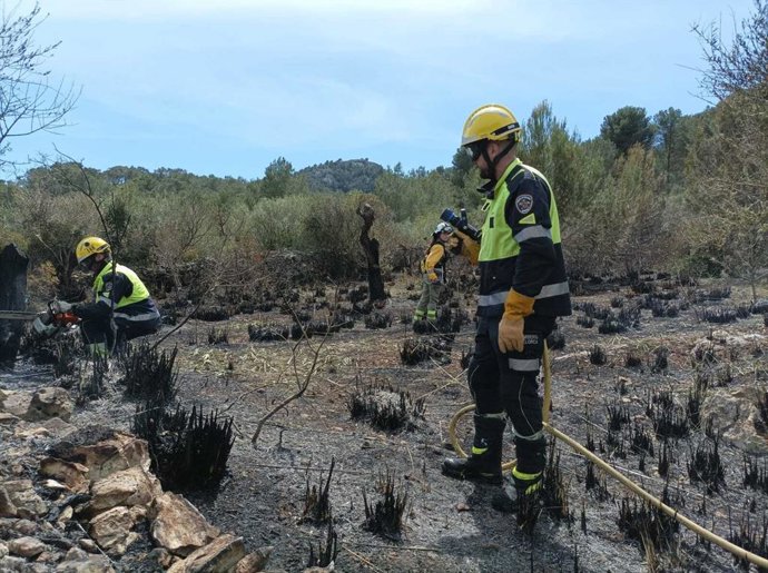 Medios del Ibanat sofocan un incendio forestal en Son Servera (Mallorca)