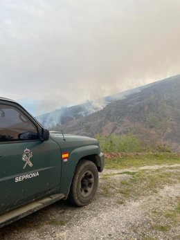 Imagen del incendio forestal.