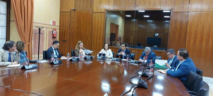 El consejero de Justicia, Administración Local y Función Pública, José Antonio Nieto, con los grupos políticos del Parlamento de Andalucía en la reunión mantenida sobre los interinos de larga duración que se han quedado sin plaza.