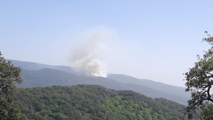 Medios aéreos trabajan en la extinción de un incendio declarado en un paraje de Jimena de la Frontera