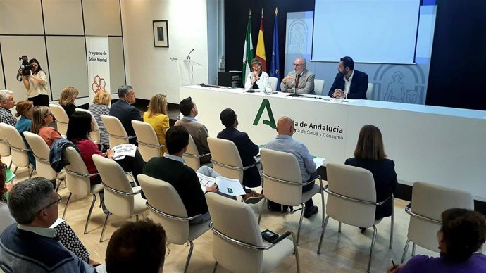Reunión de la constitución del Comité Directivo del Plan Estratégico de Salud Mental y Adicciones de Andalucía (Pesmaa).