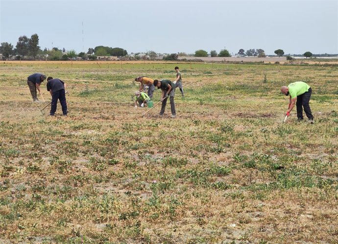 Plantación en la antigua escombrera de Los Palacios