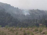 El Infoca da por extinguido el incendio de Cortes de Baza (Granada)