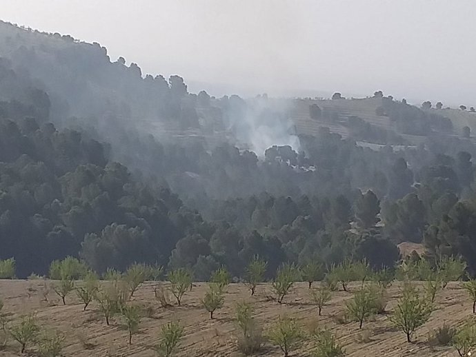 Incendio en Cortes de Baza, en la mañana de este lunes