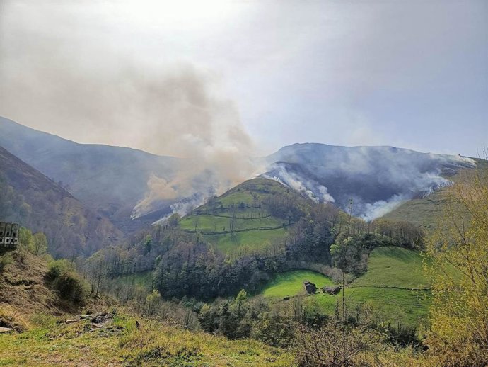 Incendio extinguido en Vega de Pas