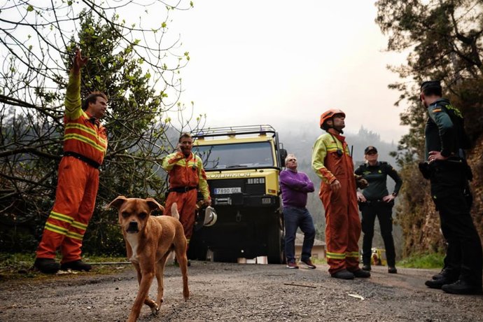 Bomberos de Asturias trabajan en un incendio