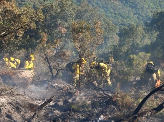 Efectivos del Plan Infoca trabajando en el incendio forestal de Jimena de la Frontera (Cádiz)