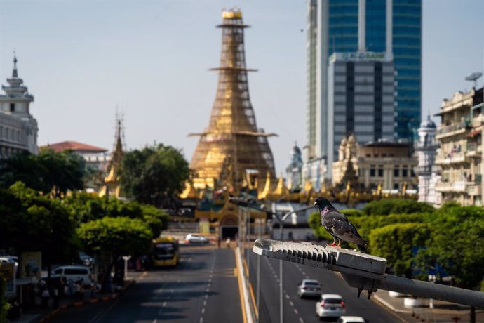 April 3, 2023, Yangon, Myanmar: A pigeon is seen looking down from a light post in front of Sule Pagoda in Yangon. On February 1, 2021, the military junta government (Tatmadaw) seized power by coup, jailing the democratically-elected NLD (National League 