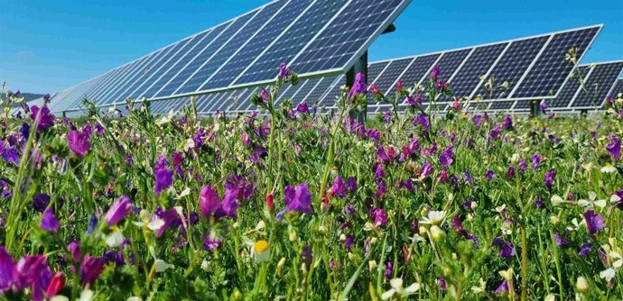 Paneles solares de Endesa