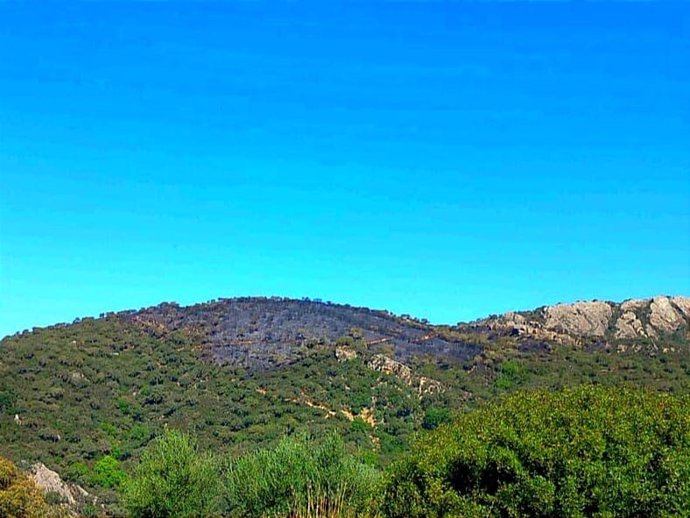 Incendio en un paraje de Jimena (Cádiz)