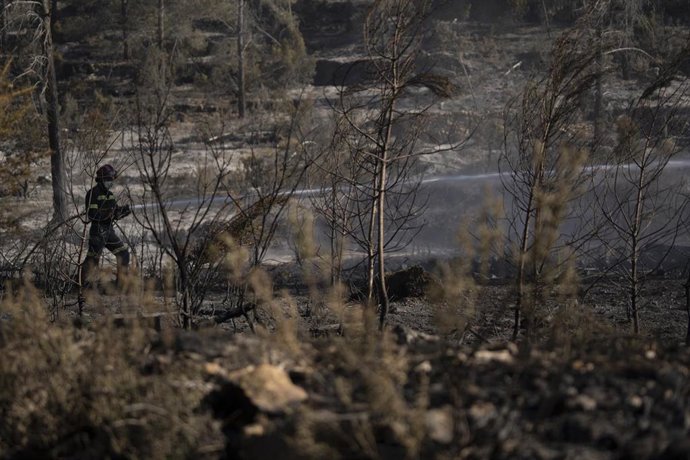 Un efectivo de las brigadas forestales echa agua con una manguera durante los trabajos del incendio de Villanueva de Viver, a 29 de marzo de 2023, en Villanueva de Viver.