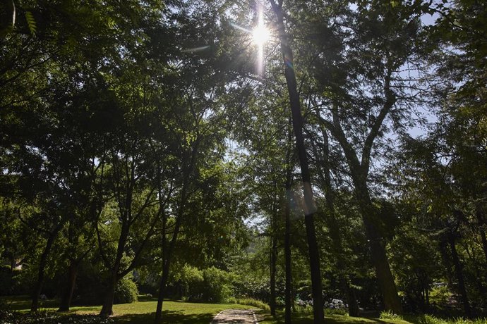 Archivo - Vista del parque Quinta de los Molinos, a 24 de julio de 2022, en el distrito de San Blas-Canillejas, Madrid (España). La Quinta de los Molinos y El Retiro son dos de los nueve parques que cierra esta tarde el ayuntamiento de Madrid ante la al