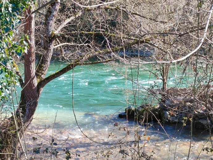 Archivo - Río Narcea a su paso por Cornellana.