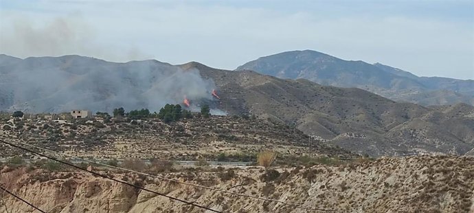 Incendio en un paraje de Cantoria (Almería).
