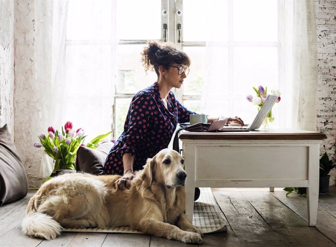 Archivo - Mujer acaricia a su perro.