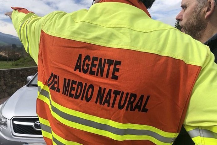 Archivo - Efectivos de lucha contra los incendios forestales