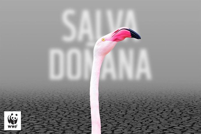 Cartel de WWF contra la PDL de modificación de regadíos de la Corona Norte de Doñana, en Huelva.