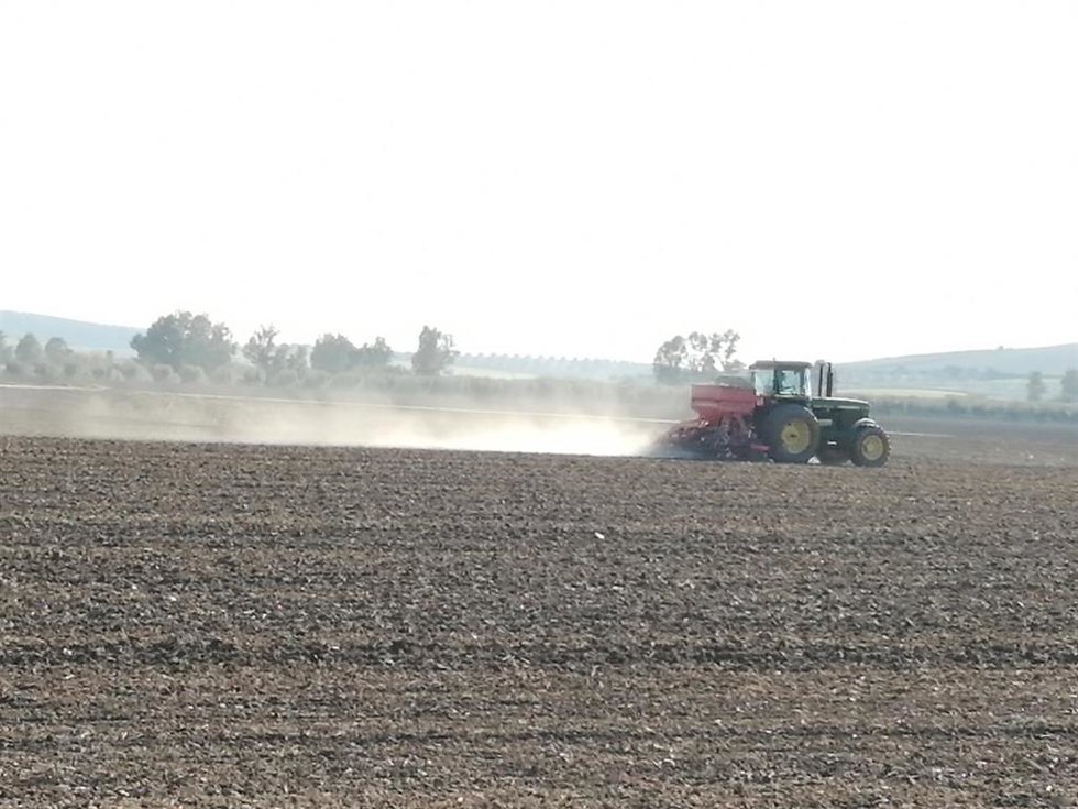 Archivo - Un agricultor trabaja con su tractor en el campo.