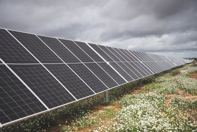 Archivo - Paneles de la planta fotovoltaica de Fotowatio en Mérida.
