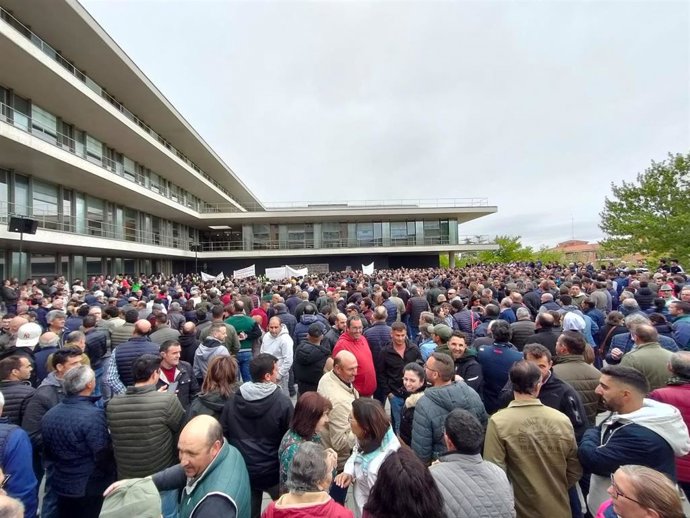 Manifestación de ganaderos en Salamanca.