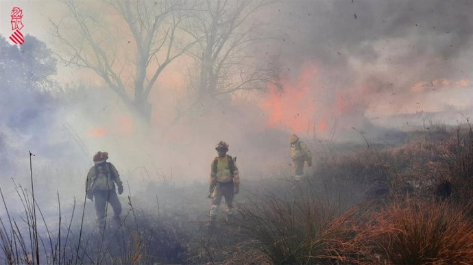 Archivo - Bomberos trabajan para sofocar un incendio forestal junto al río Magro, en una fotografía de archivo